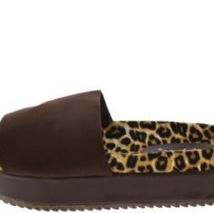 Cheetah slides